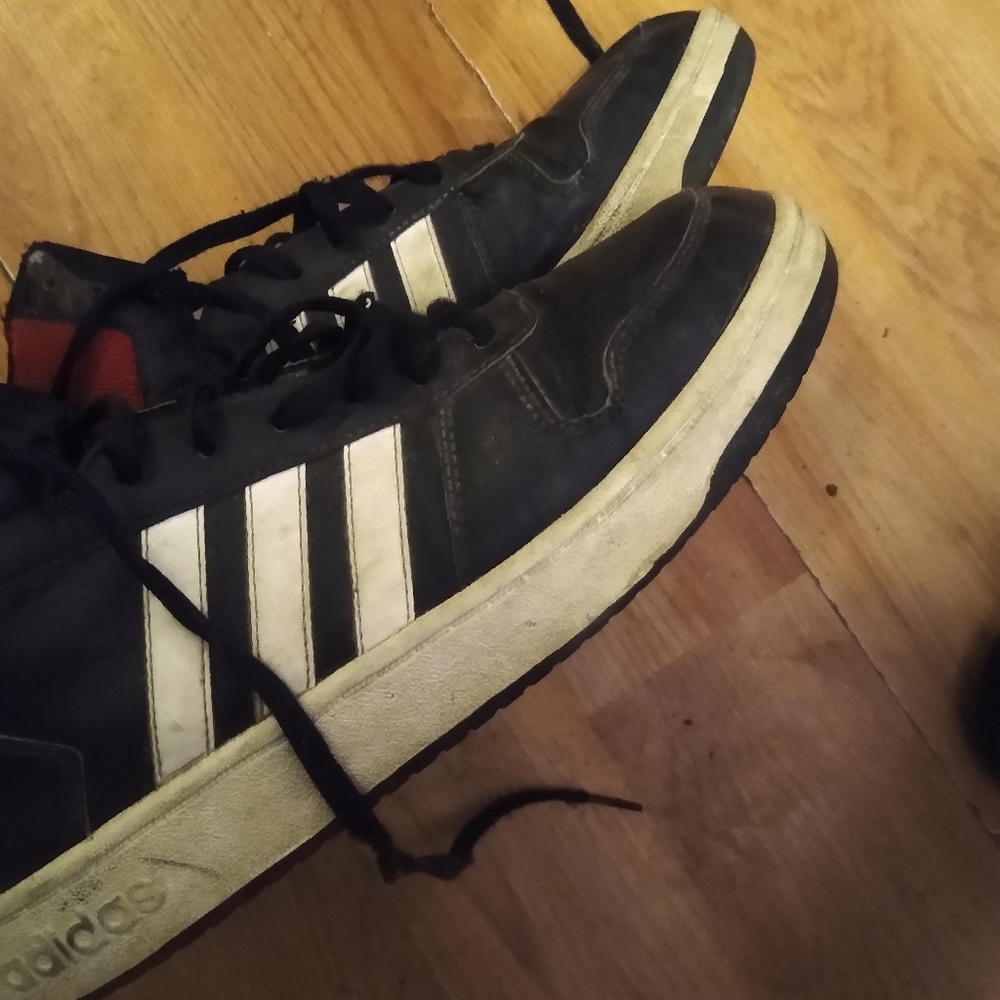 Adidas hoops 2.0